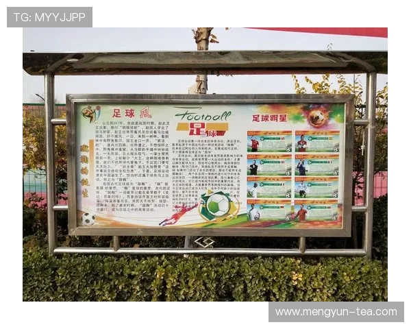 南京足球队心理素质分析：提升竞技表现的关键因素探讨